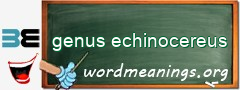 WordMeaning blackboard for genus echinocereus